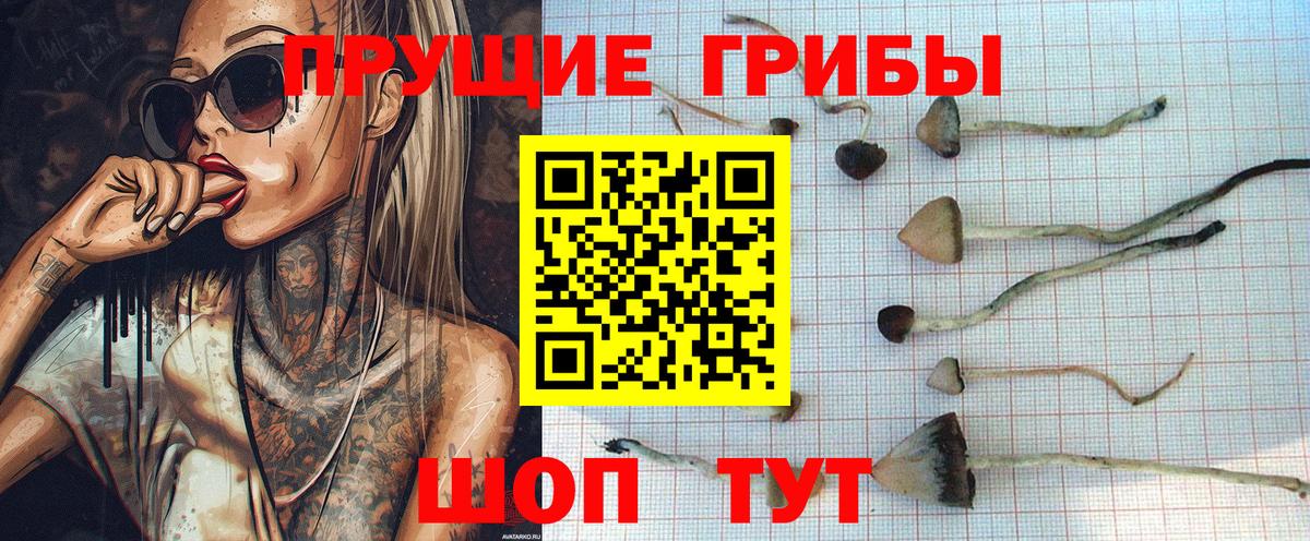 Галлюциногенные грибы прущие грибы  Вход с VPN  Иваново 